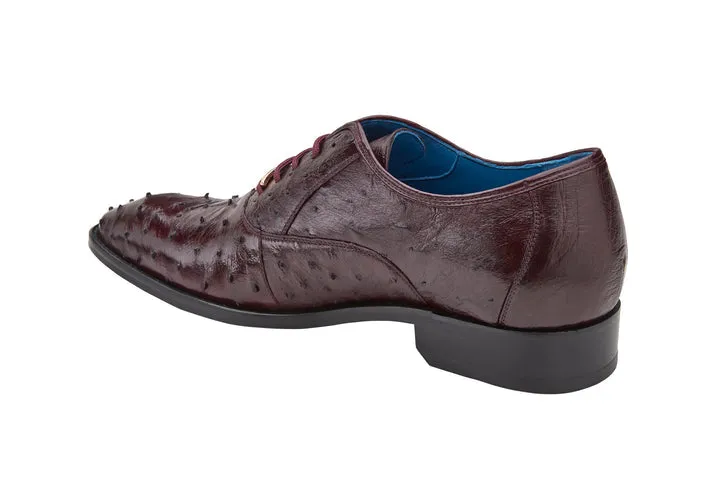 Orlando - Dark Burgundy by Belvedere