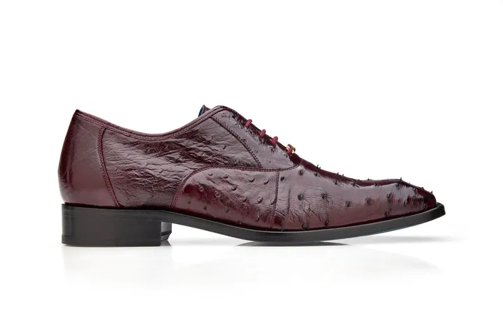 Orlando - Dark Burgundy by Belvedere