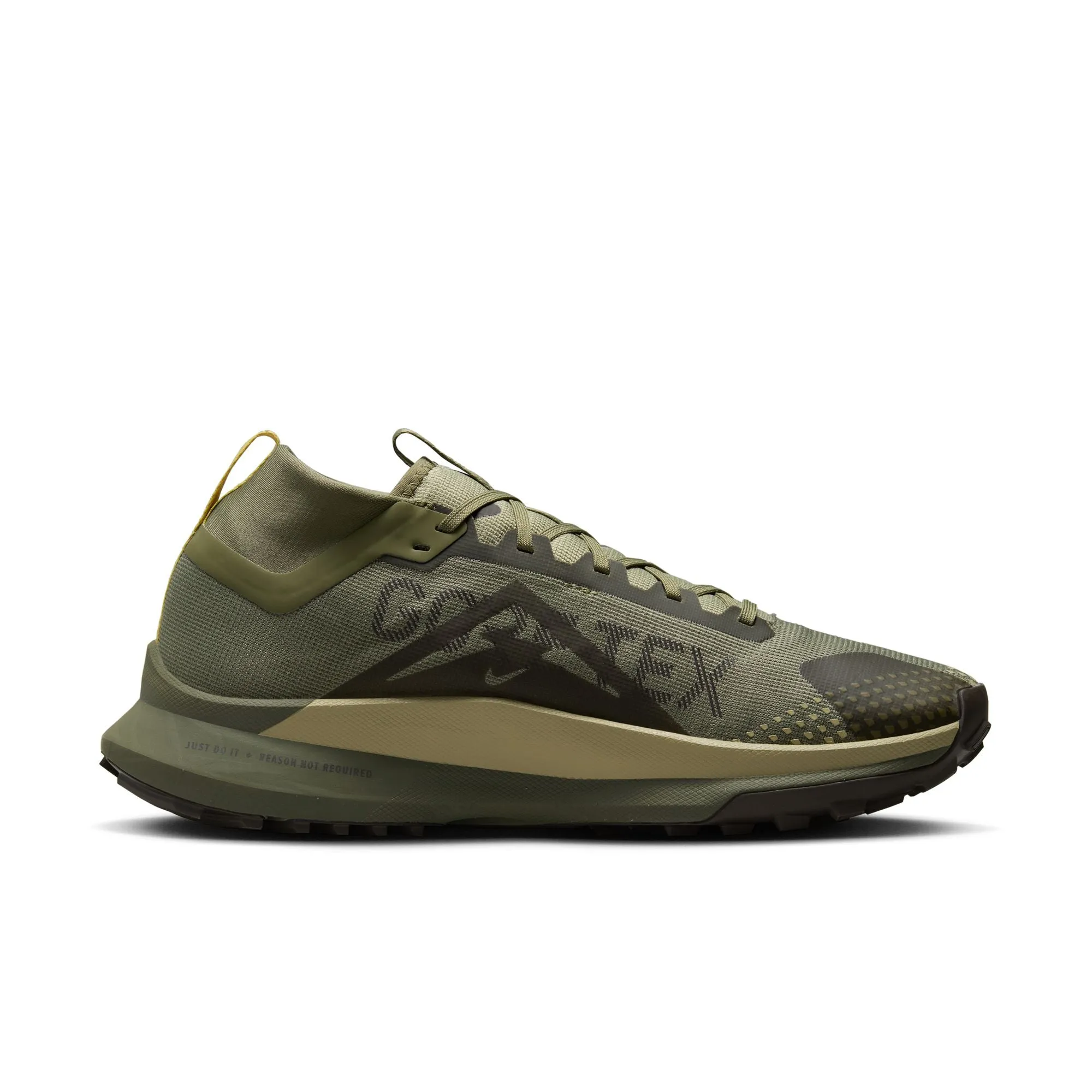 Pegasus Trail 4 GORE-TEX - Men's