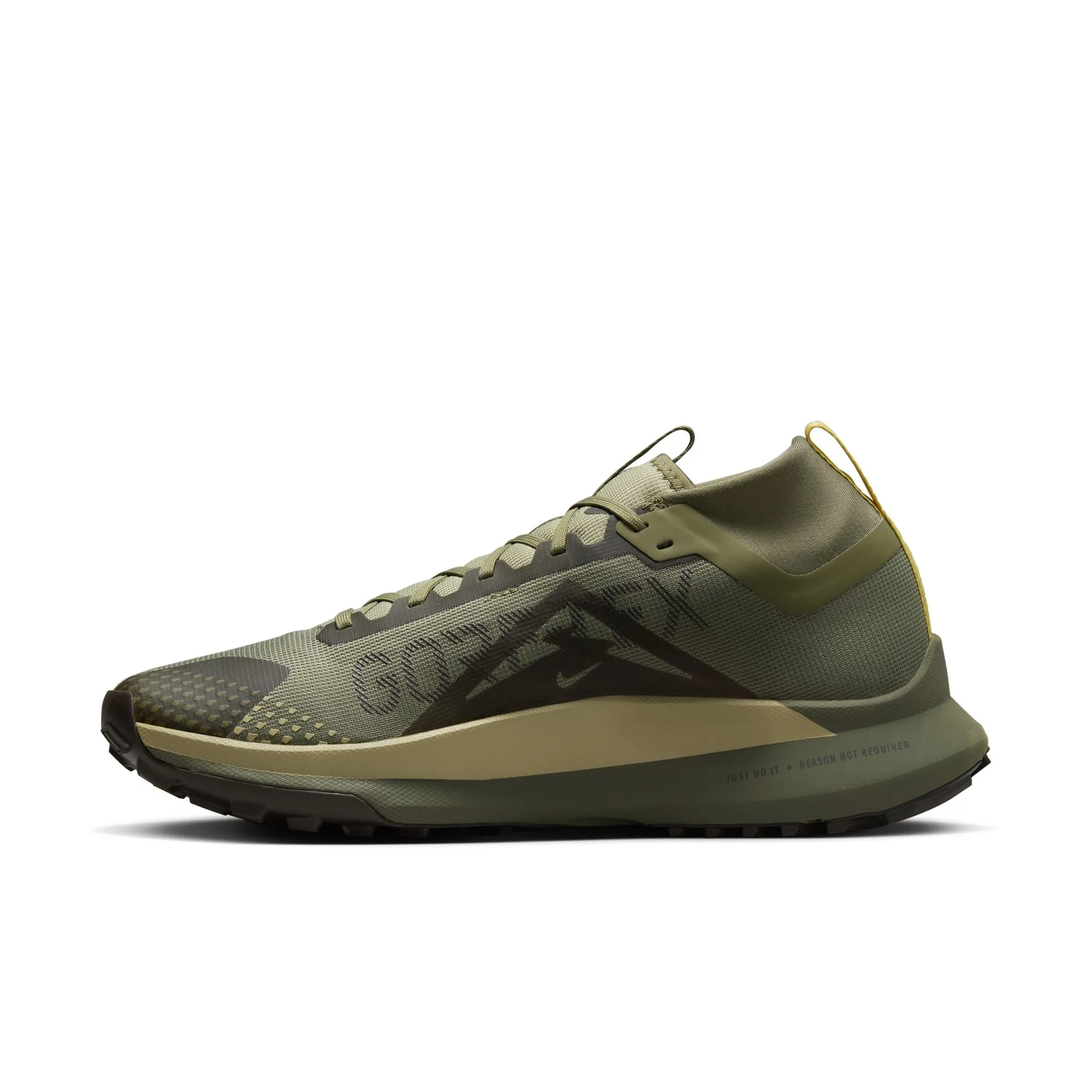 Pegasus Trail 4 GORE-TEX - Men's